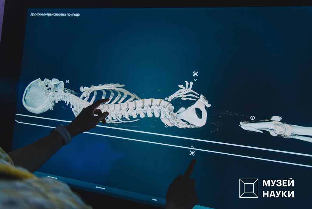 Киянам пропонують "записатися в нові Ілони Маски": як це зробити